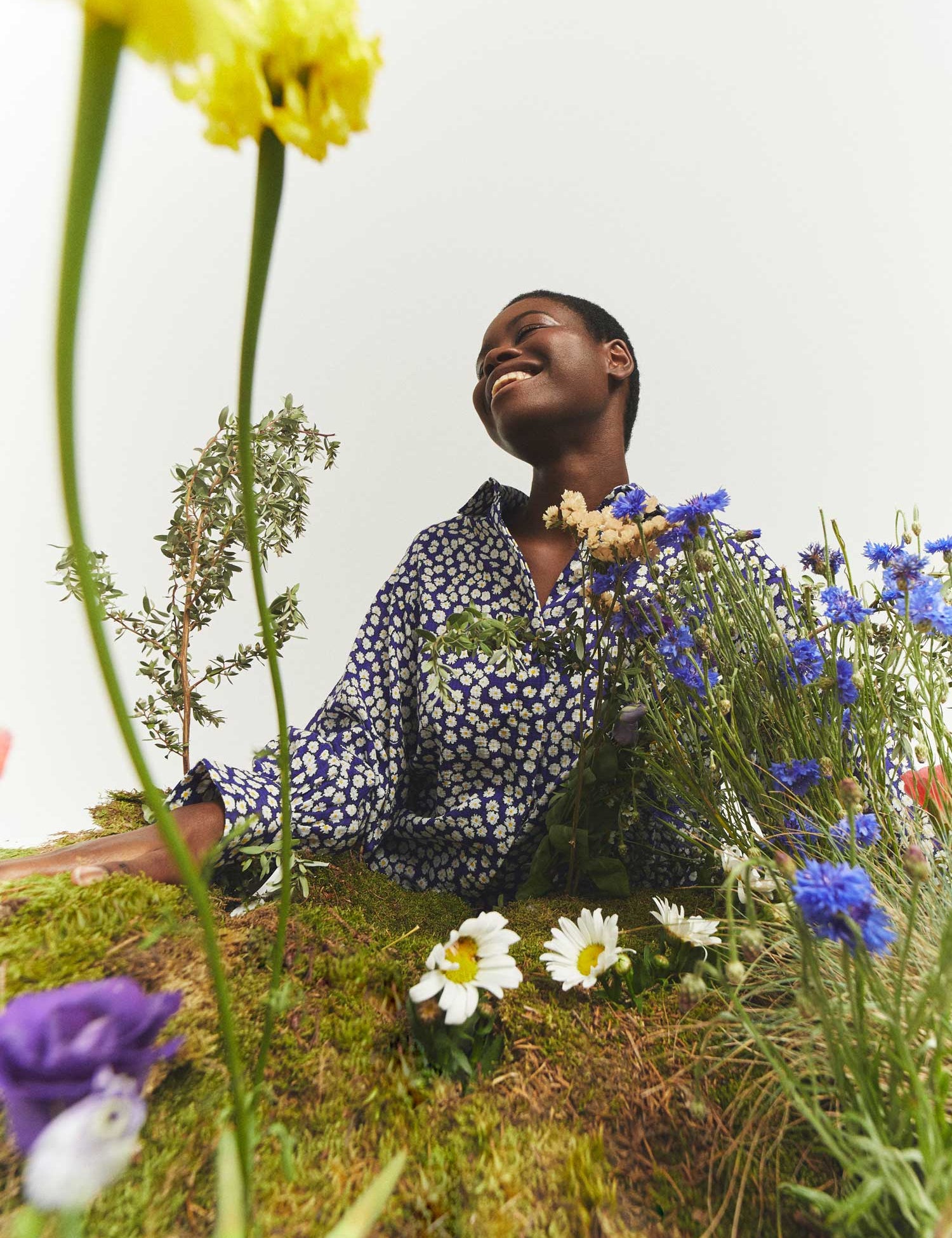chemise-dipa-paquerettes-blue-miicollection