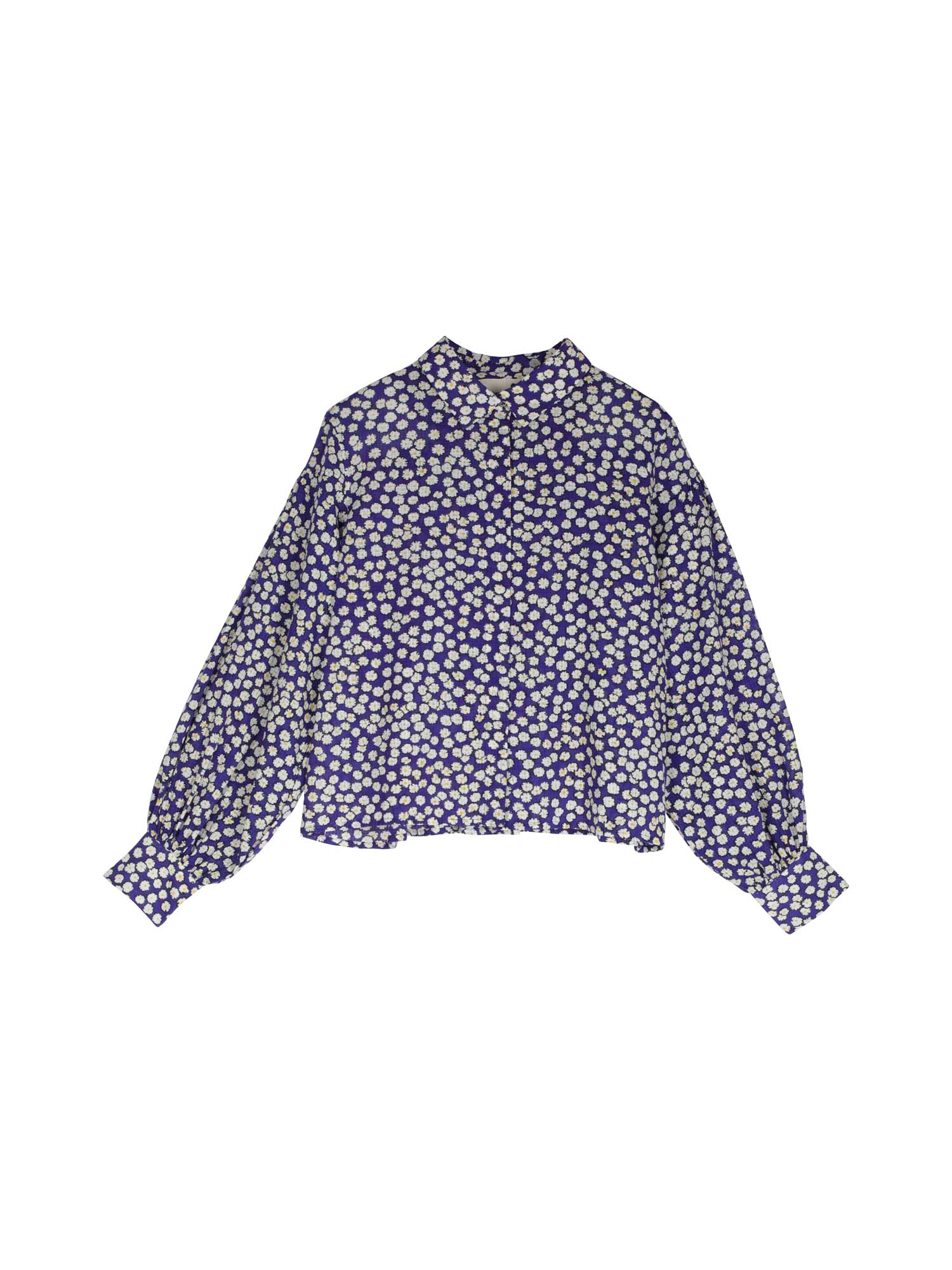 chemise-dipa-paquerettes-blue-miicollection